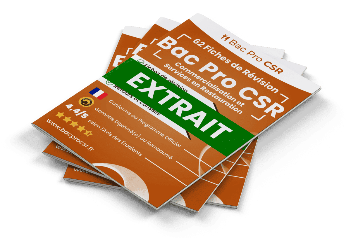 15 Fiches Révision gratuites Bac Pro CSR