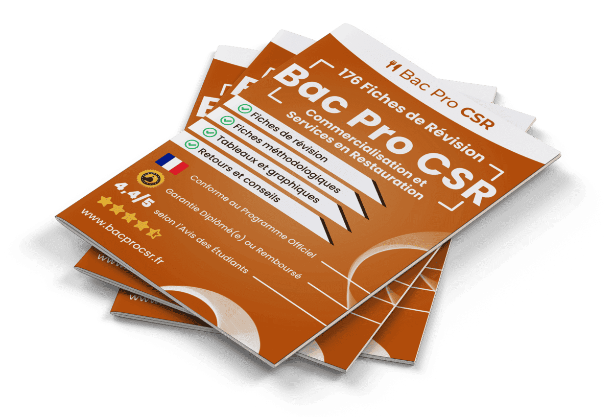 176 Fiches de Révision pour le Bac Pro CSR